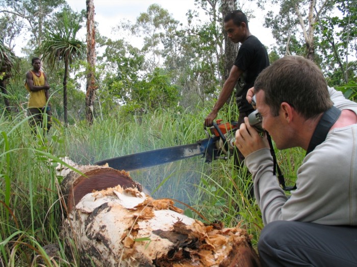 EIA investigator documenting illegal logging in Indonesia (c) EIA