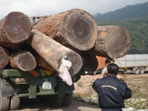 Customers officer inspecting a truckload of logs in Laos (c) EIA