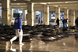 Fish market in Japan (c) EIA