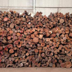 Large pile of Siamese rosewood logs inside a warehouse
