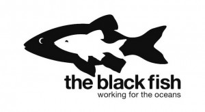 Black Fish logo