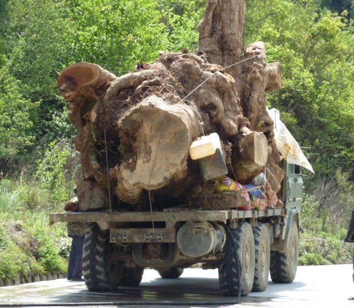 Log truck in Myanmar/Burma (c) EIA