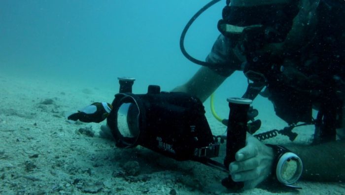 Chris Milnes filming underwater