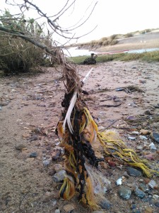 Discarded plastic rope at Blakeney Marshes © J Lonsdale