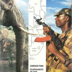 Front cover of our report entitled Under Fire: Elephants in the Front Line