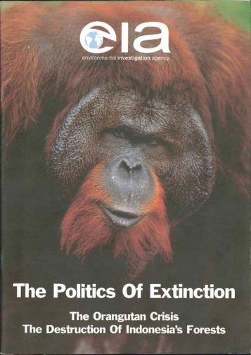 Front cover of our report entitled The Politics of Extinction: The Orangutan Crisis The Destruction of Indonesia's Forests