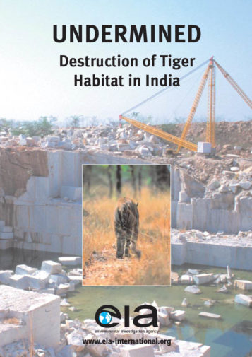 Front cover of our report entitled Undermined: Destruction of Tiger Habitat in India