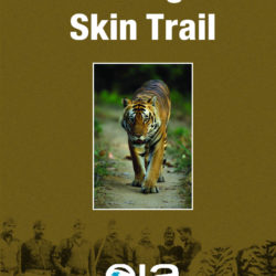 Front cover of our report entitled The Tiger Skin Trail