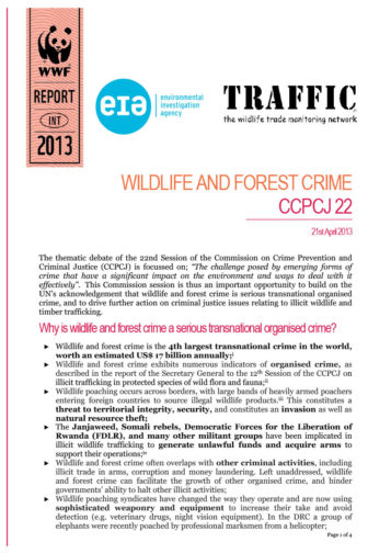 Front cover of our briefing document for CCPCJ22
