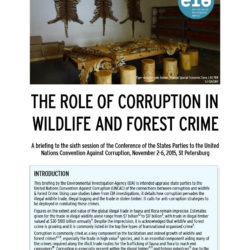 Front cover of our briefing entitled The Role of Corruption in Wildlife and Forest Crime