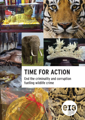 Front cover of our report entitled Time for Action: End the criminality and corruption fuelling wildlife crime
