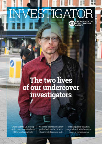 Front cover of our Spring 2018 Investigator Magazine