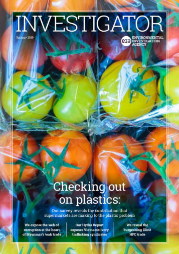 Front cover of Investigator Magazine depicting packaged tomatoes for the 'Checking out on plastics' survey story