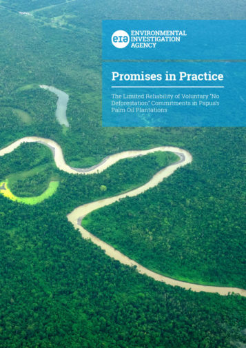 Front cover of our report entitled Promises in Practice: The Limited Reliability of Voluntary 