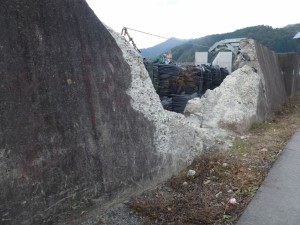 Kamaichi harbour wall, Japan - November 2013 (c) EIA