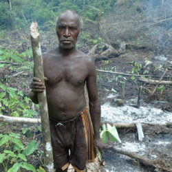 Ravaged forests of the Knasaimos community, West Papua, Indonesia, 2007