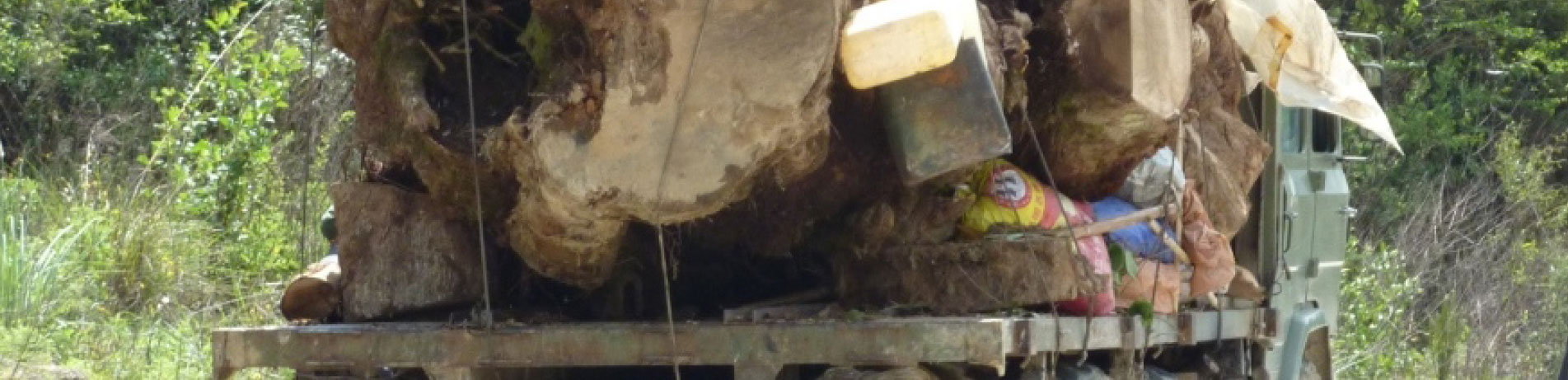 Timber being transported by truck, Myanmar/Burma