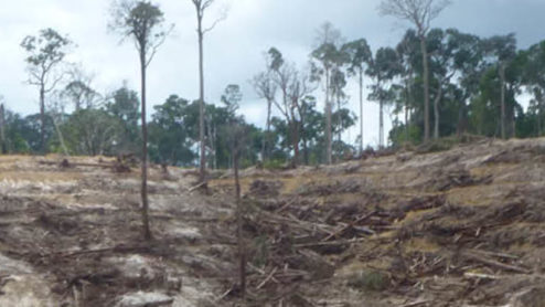 Deforested hillside in Indonesia