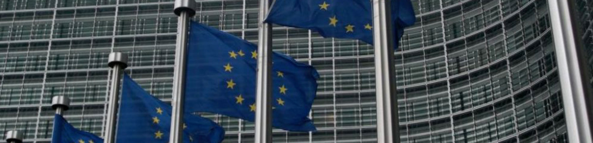 EU flags, Brussels, Belgium