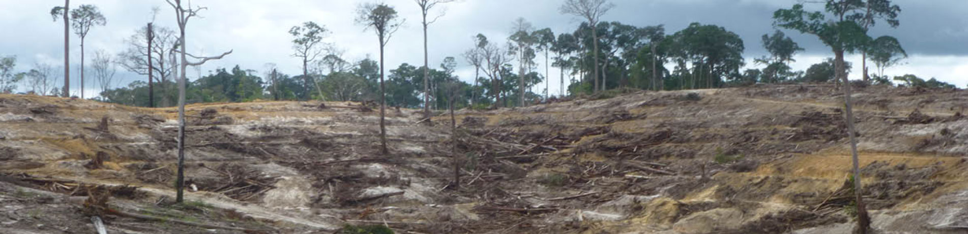 Deforested hillside in Indonesia