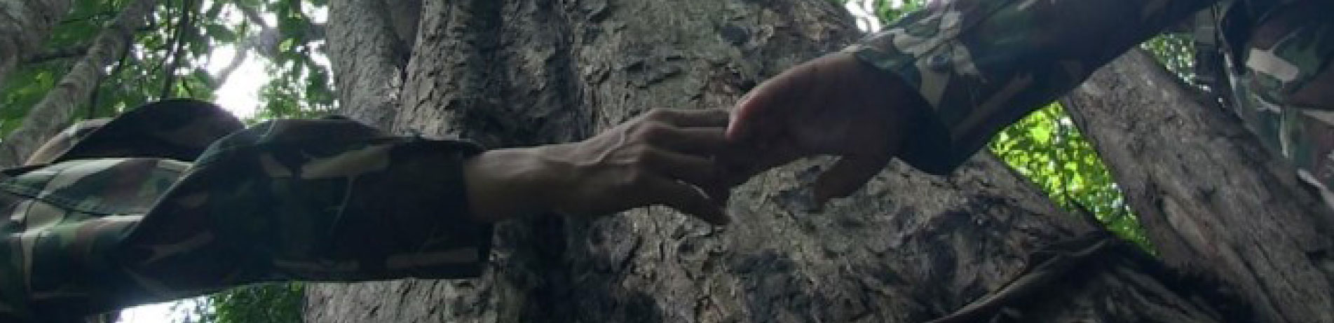 Forest rangers hold hands by a large Rosewood tree, Thailand