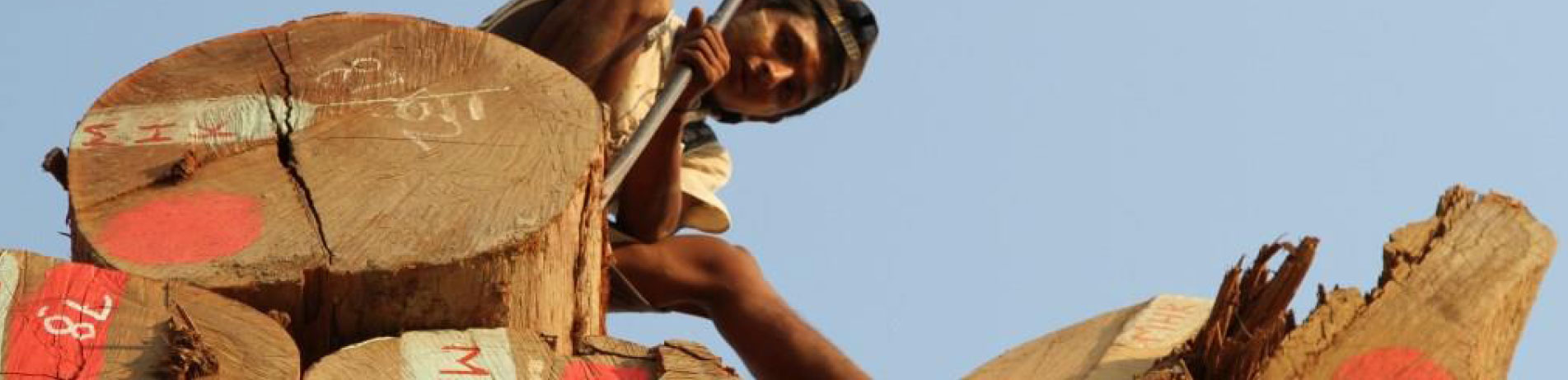 Worker in a log yard, Myanmar