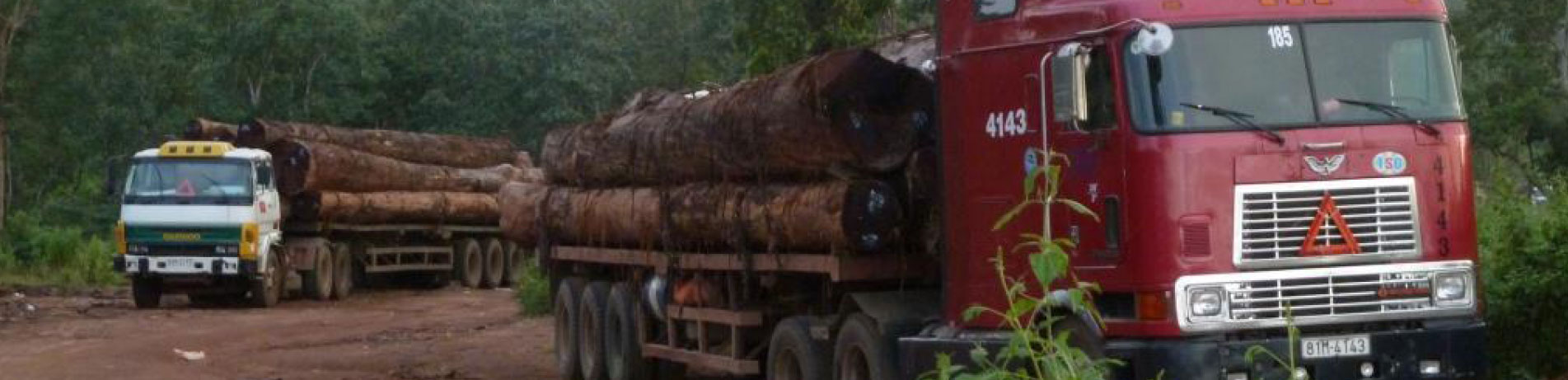 Trucks carrying a load of illegal timber in Laos