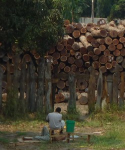 Log yard in Mozambique (c) EIA