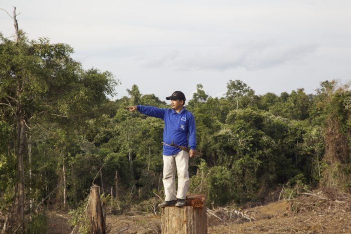 Masrani stands on an Ulin stump in the Dayak Benuaq's customary land, cleared by palm oil firm PT Munte Wani Jaya Perkasa last year (credit: EIA/Tom Johnson)
