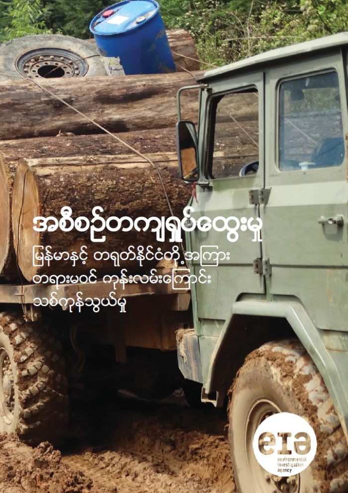 Org Chaos cover - Burmese
