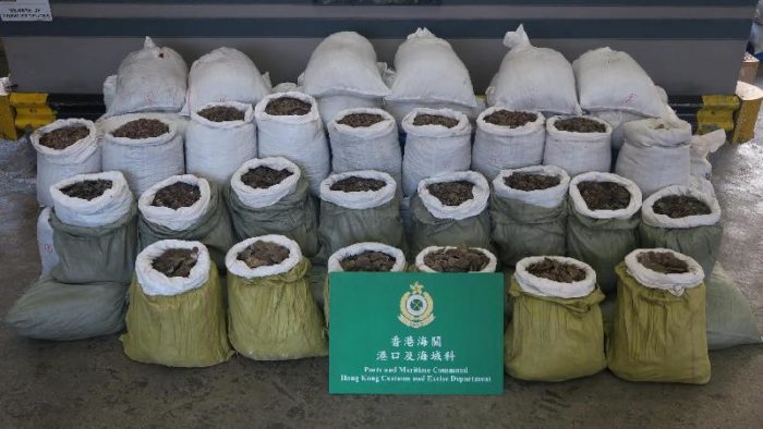 Pangolin scales seized by Hong Kong Customs, May 2017