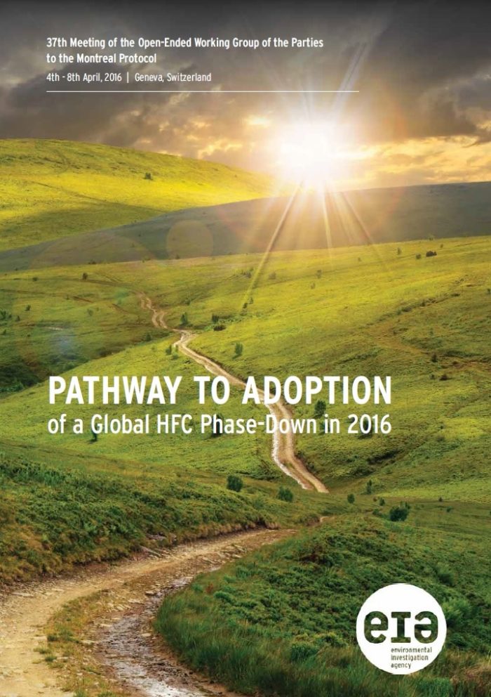 Pathway to Adoption cover