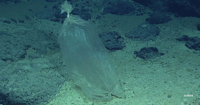 Plastic ice bag found by a NOAA expedition to the Marianas in 2016 (NOAA)