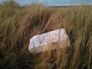 Polystyrene box on Blakeney Marshes © J Lonsdale