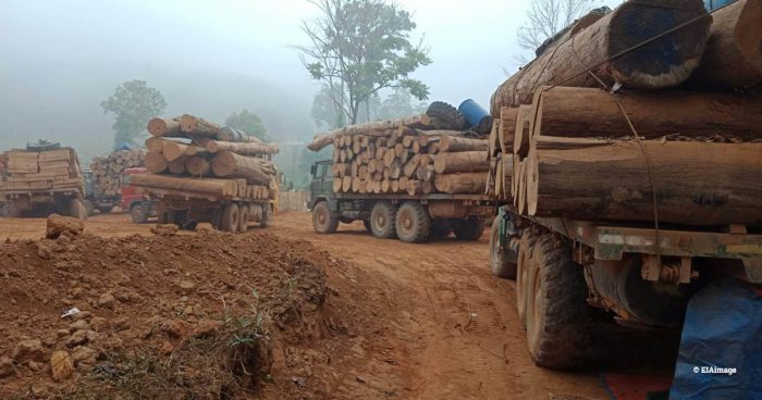 Large number of Trucks on a dirt road in the mist, all loaded with illegal Burmese teak