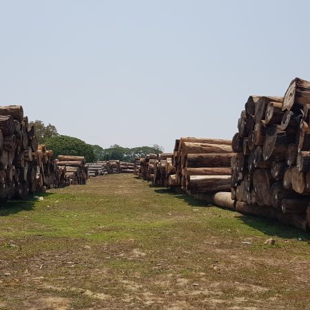 https://staging.eia.web7.fatbeehive.com/wp-content/uploads/Timber-seized-in-Kachin-in-May-2020-scaled.jpg