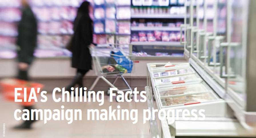 Chilling Facts 2011, where did your local supermarket come? Credit istock