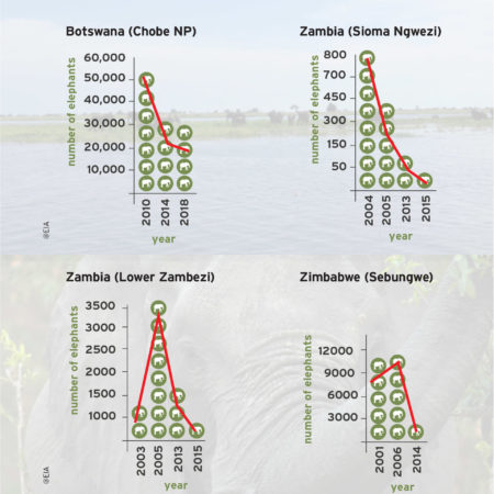 https://staging.eia.web7.fatbeehive.com/wp-content/uploads/ews-elephant-population-declines-1920x1964.jpg