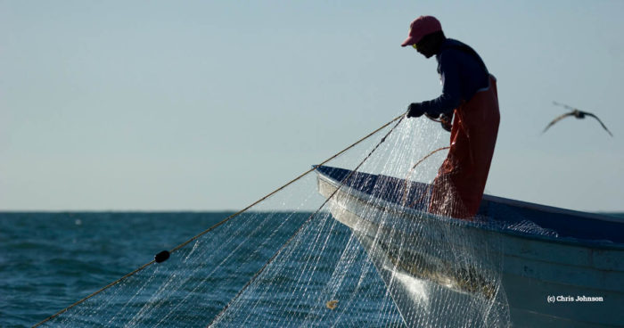 gillnet fishing, Mexico