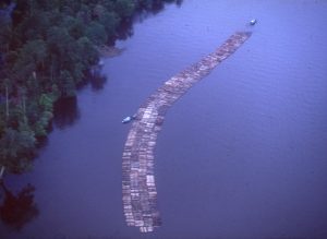 A long string of logs tied together on a wide river, guided by boats