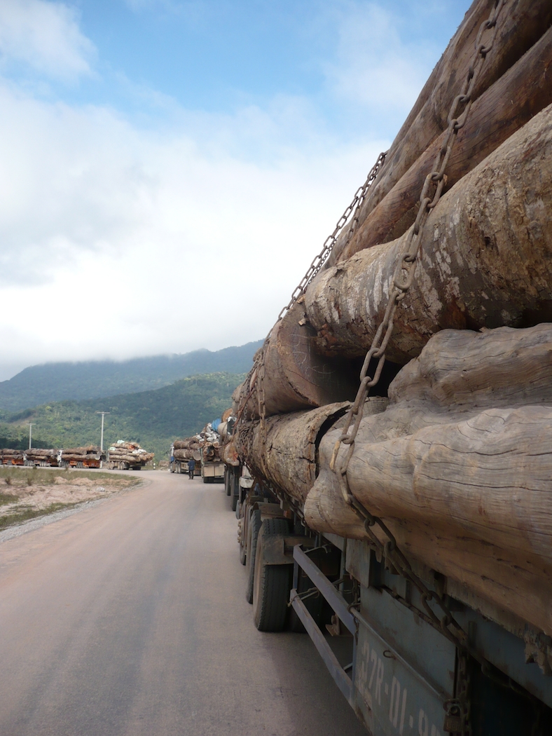 Illegal logging copyright EIA