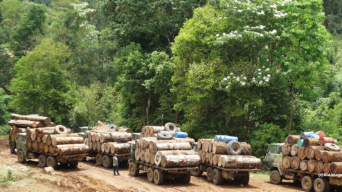 Myanmar log trucks