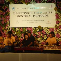 Picture of people playing traditional instruments during the reception of the annual meeting of the Parties in Thailand