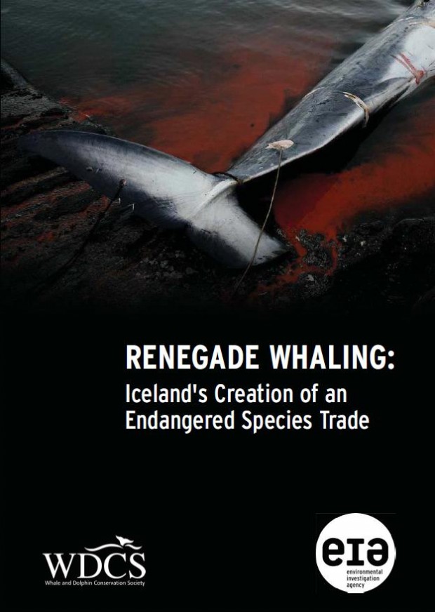 Renegade Whaling. Image Credit Jonas Freydal